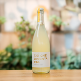 VINI ALAJMO | CIÒ CHE DIVENTA ERA – COLLEZIONE 3