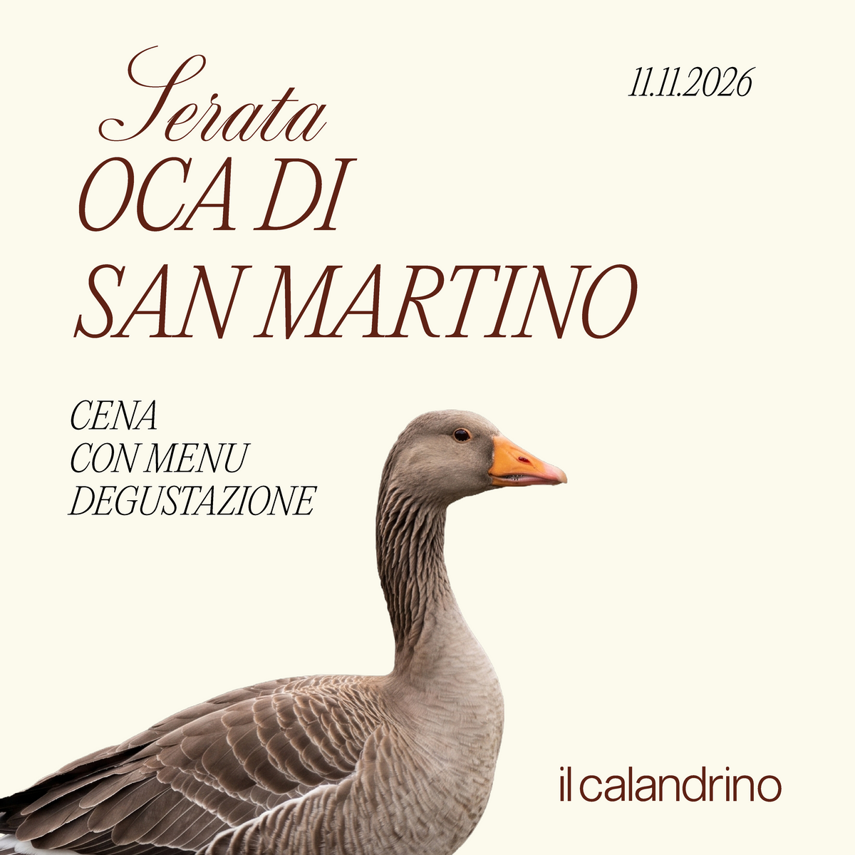 IL CALANDRINO | L'OCA DI SAN MARTINO - 11 NOVEMBRE