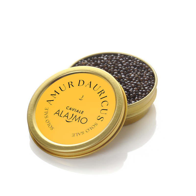 ALAJMO | CAVIAR AMUR DAURICUS “SOLO SALE” 